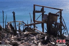 外媒：美国洛杉矶山火遇难人数升至24人