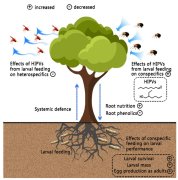 
【大国粮策】植物的“化学语言”：挥发物的奥